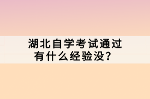 湖北自學(xué)考試通過有什么經(jīng)驗(yàn)沒？