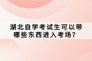 湖北自學(xué)考試生可以帶哪些東西進入考場？