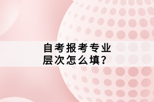 自考報(bào)考專(zhuān)業(yè)層次怎么填?