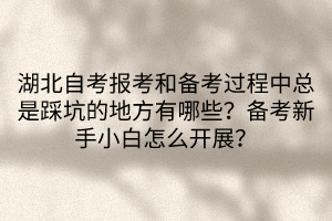 湖北自考報考和備考過程中總是踩坑的地方有哪些?備考新手小白怎么開展?