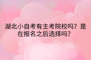 湖北小自考有主考院校嗎？是在報名之后選擇嗎？