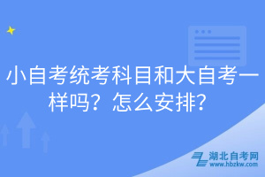 小自考統(tǒng)考科目和大自考一樣嗎？怎么安排？