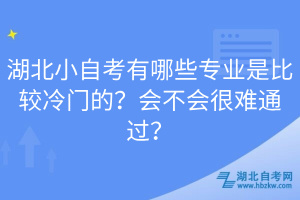 湖北小自考有哪些專業(yè)是比較冷門的？會不會很難通過？