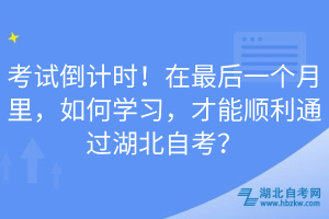 考試倒計時！在最后一個月里，如何學(xué)習(xí)，才能順利通過湖北自考？