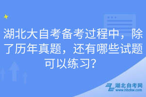 湖北大自考備考過程中,除了歷年真題,還有哪些試題可以練習(xí)?