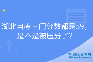 湖北自考三門分?jǐn)?shù)都是59，是不是被壓分了？