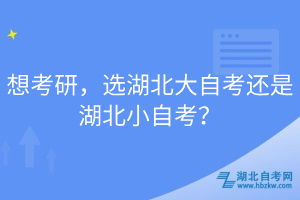 想考研，選湖北大自考還是湖北小自考？