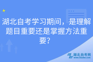 湖北自考學(xué)習(xí)期間，是理解題目重要還是掌握方法重要？