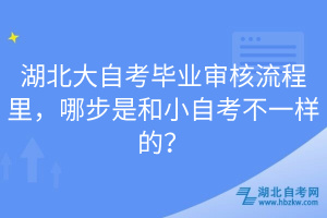 湖北大自考畢業(yè)審核流程里，哪步是和小自考不一樣的？