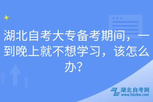 湖北自考大專備考期間，一到晚上就不想學(xué)習(xí)，該怎么辦？