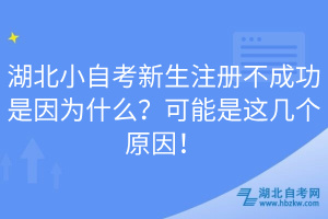湖北小自考新生注冊(cè)不成功是因?yàn)槭裁矗靠赡苁沁@幾個(gè)原因!