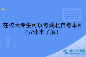 在校大專生可以考湖北自考本科嗎?速來了解！