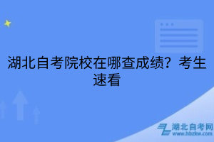 湖北自考院校在哪查成績？考生速看