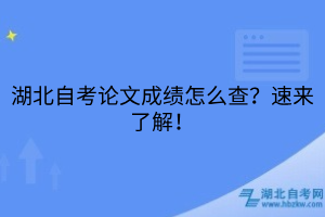 湖北自考論文成績怎么查？速來了解！
