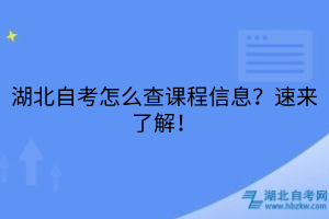 湖北自考怎么查課程信息？速來(lái)了解！
