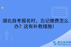 湖北自考報名時，忘記繳費怎么辦？這有補救措施！