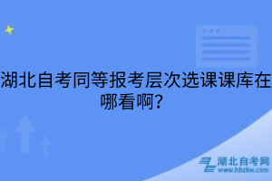 湖北自考同等報考層次選課課庫在哪看啊？