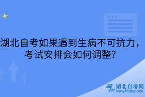 湖北自考如果遇到生病不可抗力，考試安排會如何調整？