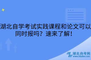 湖北自學(xué)考試實踐課程和論文可以同時報嗎？速來了解！