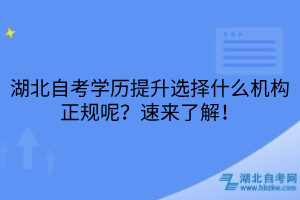 湖北自考學(xué)歷提升選擇什么機(jī)構(gòu)正規(guī)呢？速來(lái)了解！