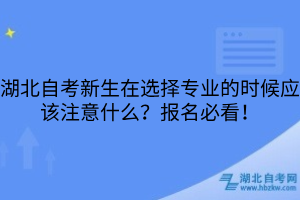 湖北自考新生在選擇專業(yè)的時(shí)候應(yīng)該注意什么？報(bào)名必看！