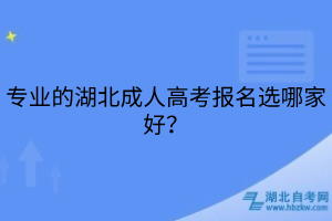 專業(yè)的湖北成人高考報(bào)名選哪家好？