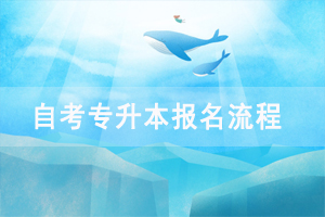 湖北自考專升本工程管理專業(yè)報名流程