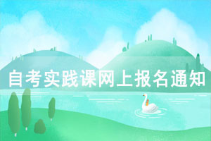 自考實(shí)踐課網(wǎng)上報(bào)名及考核