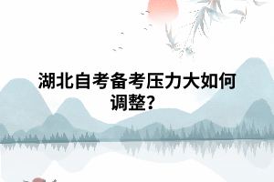 湖北自考備考?jí)毫Υ笕绾握{(diào)整？