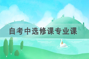 自考中選修課，專業(yè)課，加考，選考是什么意思？