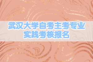 武漢大學(xué)自考主考專業(yè)實(shí)踐考核報(bào)名