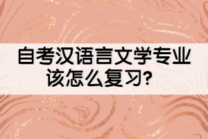 自考漢語(yǔ)言文學(xué)專業(yè)該怎么復(fù)習(xí)？