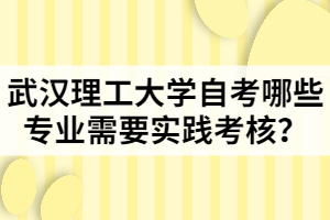 武漢理工大學自考哪些專業(yè)需要實踐考核？