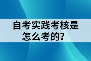 自考實(shí)踐考核是怎么考的？