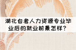 湖北自考人力資源專業(yè)畢業(yè)后的就業(yè)前景怎樣？
