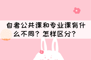 自考公共課和專業(yè)課有什么不同？怎樣區(qū)分？