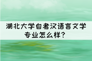 湖北大學(xué)自考漢語言文學(xué)專業(yè)怎么樣？
