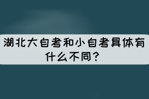 湖北大自考和小自考具體有什么不同? 湖北大自考和小自考具體有什么不同?