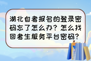 湖北自考報(bào)名的登錄密碼忘了怎么辦？怎么找回考生服務(wù)平臺(tái)密碼？