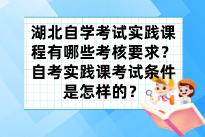 湖北自學(xué)考試實(shí)踐課程有哪些考核要求？自考實(shí)踐課考試條件是怎樣的？