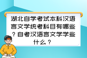 湖北自學(xué)考試本科漢語(yǔ)言文學(xué)統(tǒng)考科目有哪些?自考漢語(yǔ)言文學(xué)學(xué)些什么? 湖北自學(xué)考試本科漢語(yǔ)言文學(xué)統(tǒng)考科目有哪些?自考漢語(yǔ)言文學(xué)學(xué)些什么?