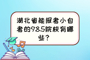 湖北省能報(bào)考小自考的985院校有哪些？