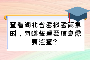 查看湖北自考報考簡章時，有哪些重要信息需要注意？