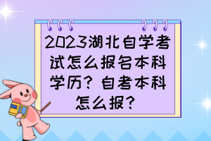 2023湖北自學(xué)考試怎么報(bào)名本科學(xué)歷？自考本科怎么報(bào)？