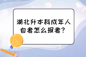湖北升本科成年人自考怎么報(bào)考？