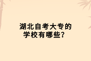 湖北自考大專的學(xué)校有哪些？