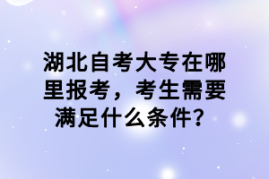 湖北自考大專在哪里報(bào)考，考生需要滿足什么條件？