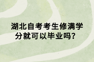 湖北自考報名后怎么看考試地點(diǎn)？