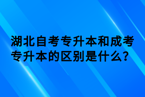 湖北自考專升本和成考專升本的區(qū)別是什么？