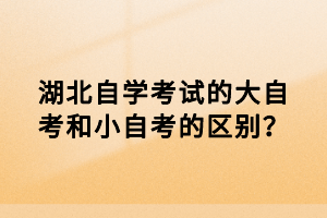 湖北自學考試的大自考和小自考的區(qū)別？
